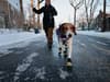 UK weather: Is it too cold to take your dog for a walk - expert advice on when it’s dangerous to exercise dog