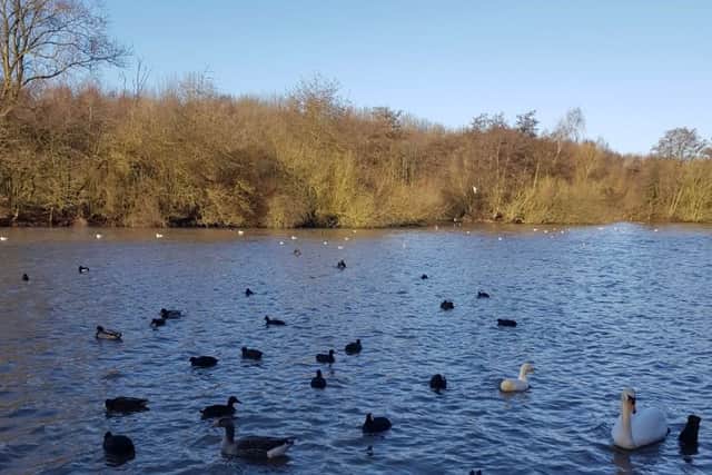 Bestwood Country Park