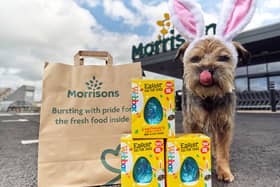 Morrison recently relesed their Easter pet range 