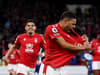 Nottingham Forest relegation battle latest: what win over Brighton & Everton defeat means - remaining fixtures
