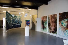Surface Gallery on Southwell Street is opening a new exhibition