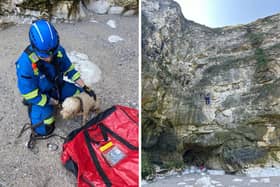 Coastguards descended the 45-metre cliff to rescue the stranded dog.