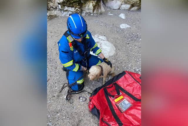 Rescue teams were greeted by a “very friendly dog” on the beach below. (Photo: Bridlington Coastguard Rescue Team)
