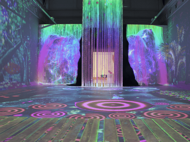 The Lakeside Gallery has launched an interactive digital art show
