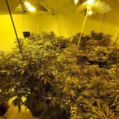 Police have issued a warning after a large cannabis grow was discovered in a quiet village.