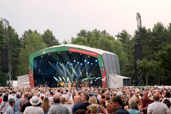 Live music will return to Sherwood Forest for the first time in four years. (Photo: Forestry England)