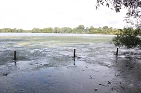 Attenborough Nature Reserve will be closed this weekend due to flooding (image from 2020)