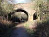 The 'beautiful' Nottinghamshire walk that follows an abandoned railway line