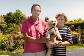 Martin and his wife Kristine took to pet sitting after the loss of their beloved West Highland Terrier 