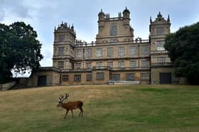 The grounds of Wollaton Hall are said to have inspired J.M. Barrie's neverland 
