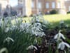 Belvoir Castle near Nottingham opens ‘enchanting’ snowdrop and daffodil gardens to public