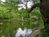 Arboretum: Magical Nottingham park named one of the 'quietest' places in the UK