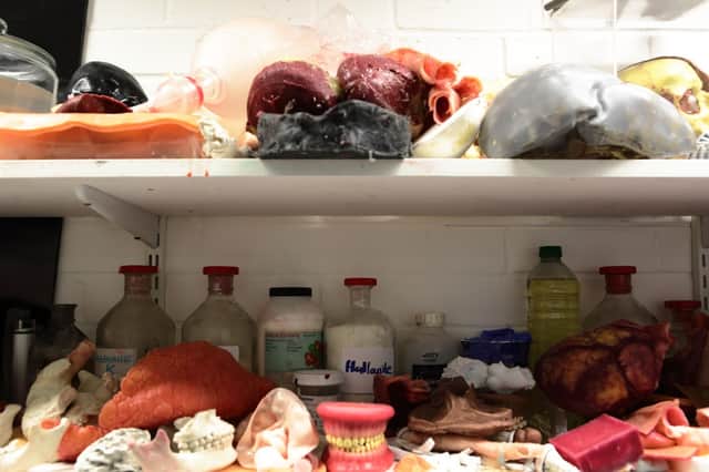 The laboratory shelves are stacked with frighteningly realistic body parts 