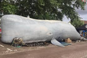 An 18-metre-long whale is coming to Newark on April 27 