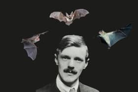 On Bat Appreciation Day, we're looking at D.H. Lawrence's epic description of the winged creatures 