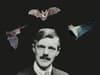 Bat Appreciation Day: D.H Lawrence's 1923 poem has the best description of bats we've ever read