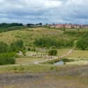 A grenade has been detonated at Gedling Country Park