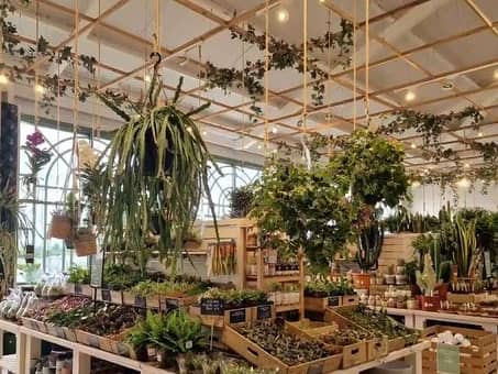 Insta-worthy interiors at this lovely garden centre 