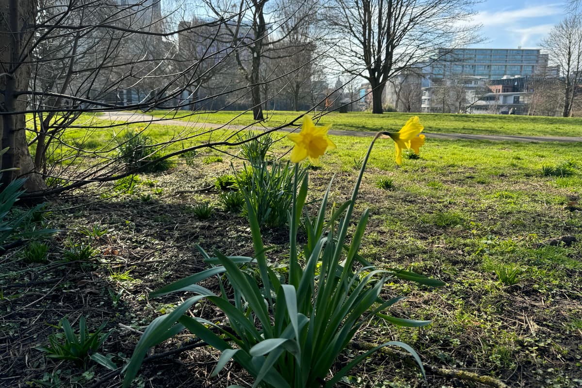 Spring In Nottingham We visit the ‘hidden’ Nottingham public garden which comes alive with ...