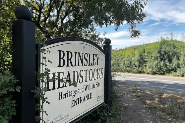 Brinsleyheadstockssign