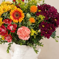 Did you know Bunches does more than flowers? The online shop also sells plants, hampers and cards