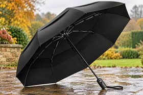 Tumella's stormproof umbrella has dropped in price just in time for the inclement weather