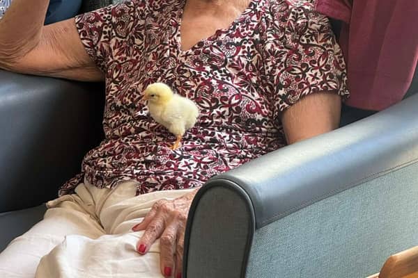 Kim Howell grew up with chickens during the war