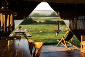 Feather Down glamping farms